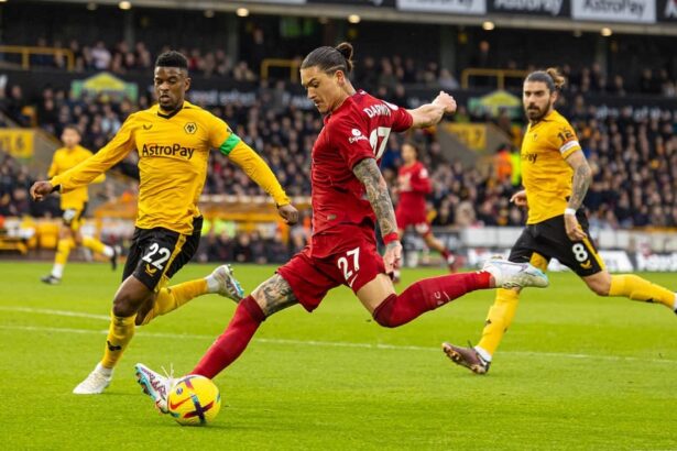 lich-su-doi-dau-liverpool-vs-wolves