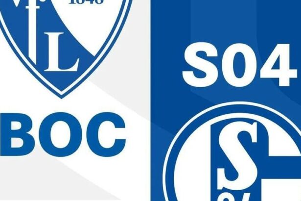 soi-keo-tran-bochum-vs-schalke-04