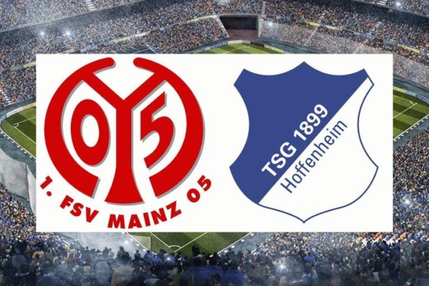 soi-keo-tran-mainz-05-vs-tsg-hoffenheim