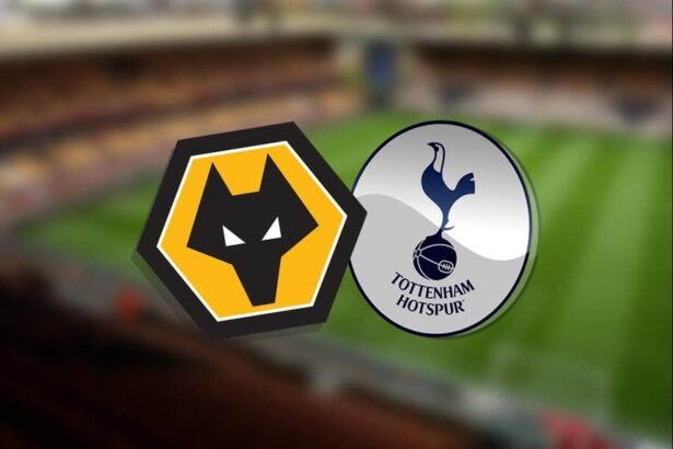 soi-keo-tran-wolves-vs-tottenham
