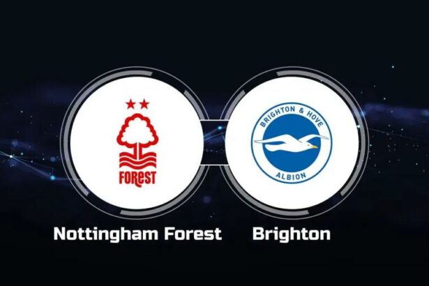 Soi kèo trận Nottingham vs Brighton 1h30 ngày 27/4