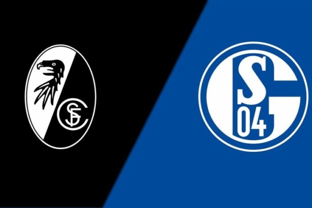 Soi kèo trận SC Freiburg vs Schalke 04 20h30 ngày 23/4