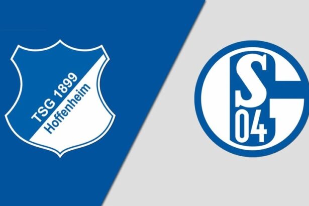Soi kèo trận TSG Hoffenheim vs Schalke 04 0h30 ngày 10/4