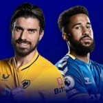 Thống kê lịch sử đối đầu Wolves vs Everton (21h ngày 20/5)