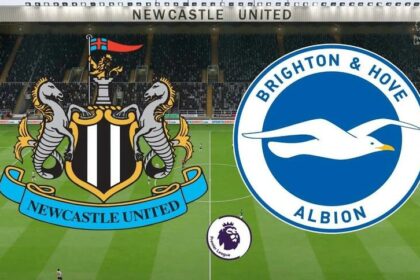 Soi kèo trận Newcastle vs Brighton 1h30 ngày 19/5