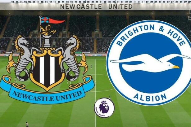 Soi kèo trận Newcastle vs Brighton 1h30 ngày 19/5